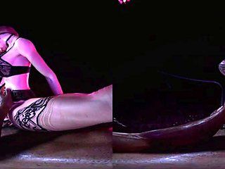 Party Nation VRlapdance