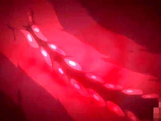 Tender Night in the memory_21052803p0