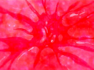 Endless Passion beyond control_170224p0010